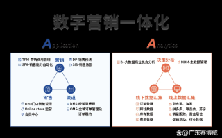 智易营销连锁网，重塑数字时代营销版图