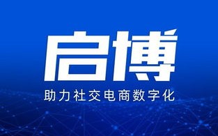 软告网网站联盟，重塑数字营销新生态