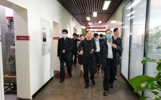 千鸟网络广告传媒，重塑数字营销新生态的领航者