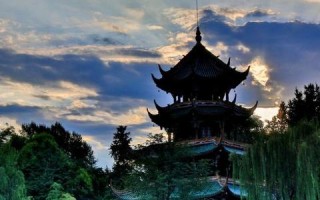 紫藤树图片广告联盟，打造视觉盛宴，引领数字营销新风尚