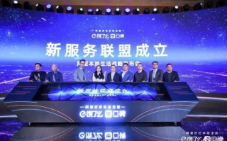 阿里联盟，重塑电商生态，引领数字商业新未来