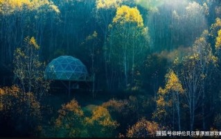 那个广告联盟比较好啊？深度剖析与推荐
