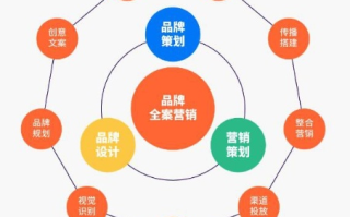 探索Brandreward背后的品牌奖励机制，如何构建有效的品牌忠诚度计划