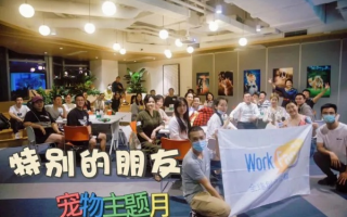 猫扑联盟，探索宠物社交的新纪元