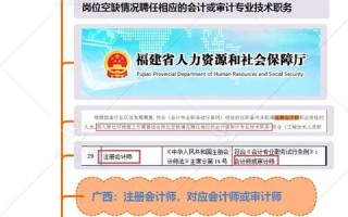 揭秘X档案CPA联盟，会计行业的隐秘力量与未来趋势