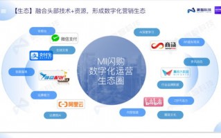麻豆富媒体联盟，重塑数字营销新生态