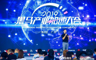 黑马联盟，揭秘互联网创业的黑马如何逆袭成功