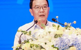 中国商务联盟，重塑全球贸易版图，引领数字经济新纪元