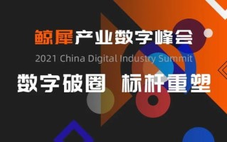 极限广告联盟，重塑数字营销版图，引领未来广告趋势