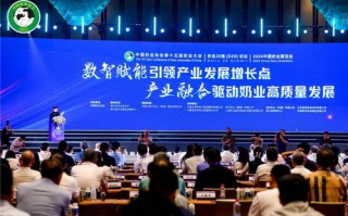 任鹏移动传媒，重塑传媒生态，引领数字时代新风尚