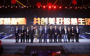 大神联盟，汇聚智慧与力量，共筑梦想新篇章