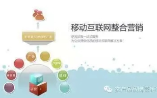 卡宝宝网站联盟，打造高效、共赢的互联网营销新生态