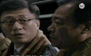 528广告联盟，重塑数字营销生态，引领广告新纪元