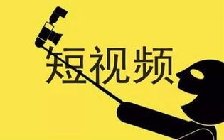 本色网络联盟，重塑互联网文化的纯净力量