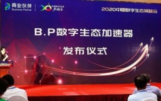 中华广告联盟，重塑数字营销生态，引领品牌新纪元
