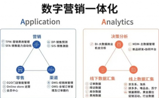 网告传媒，重塑数字时代营销新生态