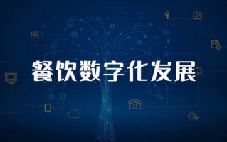 链盟，重塑数字经济生态，引领未来商业变革