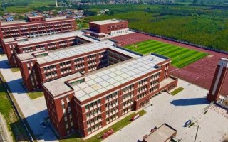 萌新移动联盟，携手共创数字时代新篇章