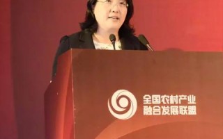 聚合移动，重塑城市出行的新篇章