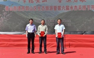 日付网赚联盟，开启你的财富之旅