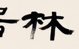 喜艺网络联盟，重塑数字时代艺术生态的先锋力量