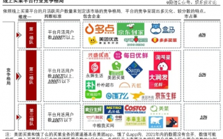 领玛联盟，重塑电商生态，共赢未来商业版图