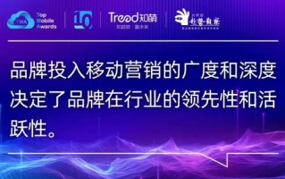 AE移动广告联盟，重塑移动营销生态，引领未来广告趋势