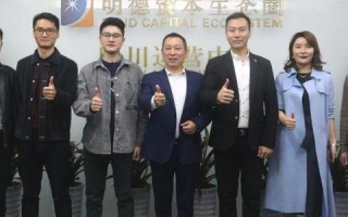 智媒广告联盟，重塑数字营销生态，引领智能广告新时代