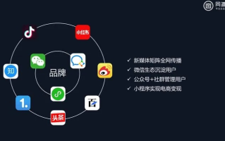 VX流量广告联盟，解锁数字营销新纪元，打造高效流量变现平台