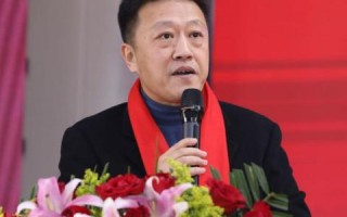 中易广告联盟系统，重塑数字营销生态，引领高效广告新纪元