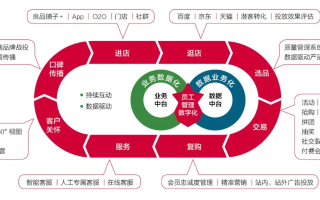 中易广告联盟系统，重塑数字营销生态，引领高效广告合作新纪元