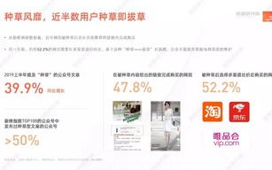 广告联盟评测网，揭秘行业内幕，助你精准投放广告