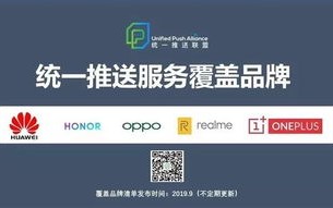 揭秘广告联盟，真相、风险与如何安全参与