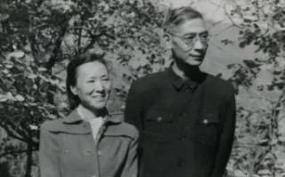 79交换链，重塑数字时代的价值流通网络