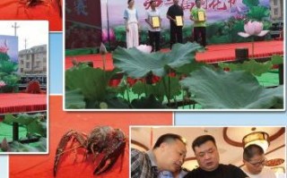互亿联盟，重塑商业生态，共创数字时代共赢新篇章