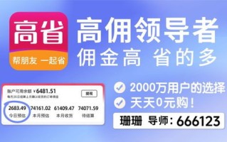 淘宝联盟使用指南，解锁高效购物与分享赚钱的新方式