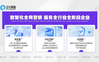 金楚广告联盟，打造高效营销生态，引领数字广告新纪元