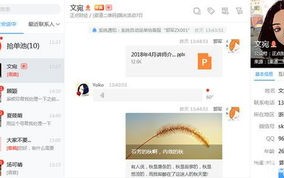 Kooip网站流量联盟，打造高效网络营销的必备工具