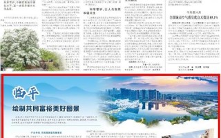 分享联盟，构建共享经济的未来图景