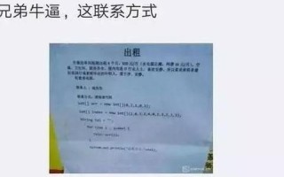 广告联盟的广告代码使用详解，提升收益与用户体验的实战指南
