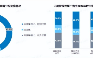 网络广告的种类与价位，探索数字营销的新纪元