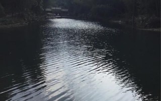 基地广告联盟，重塑数字营销新生态的先锋力量