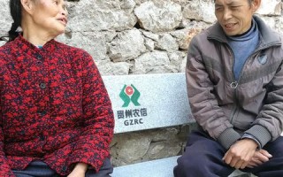 揭秘X档案广告联盟，打造高效广告投放的幕后英雄