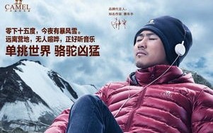 反淘宝联盟7000小卖家围攻大卖家七格格、CAMEL骆驼等遭攻击