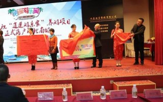 百游联盟，重塑游戏产业生态，引领数字娱乐新纪元
