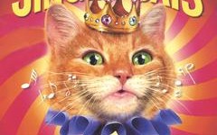 Ad LeMeow，猫咪品牌的崛起与宠物经济的未来趋势
