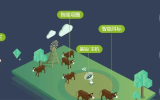 牛播联盟，重塑农业传播生态，引领智慧牧业新时代