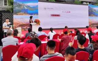 揭秘推介客广告联盟，打造高效营销新生态