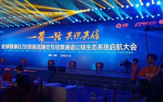 大富联盟，共创财富新纪元，携手共赢未来