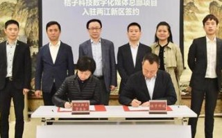 桔子广告联盟，打造高效广告推广，引领数字营销新风尚